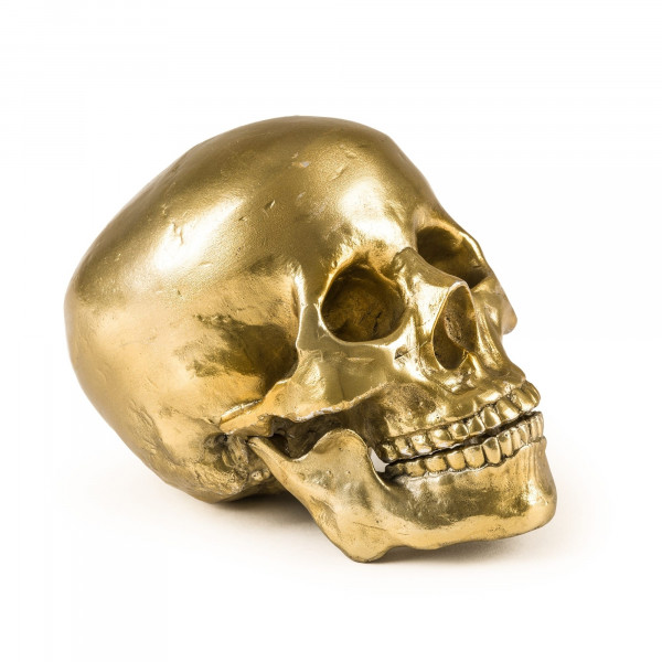 Human Skull