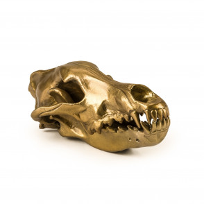 Wolf Skull