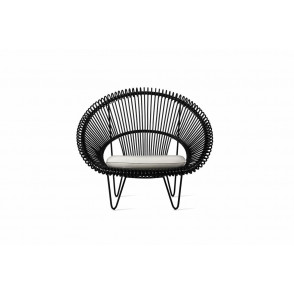Roy Cocoon showmodel 