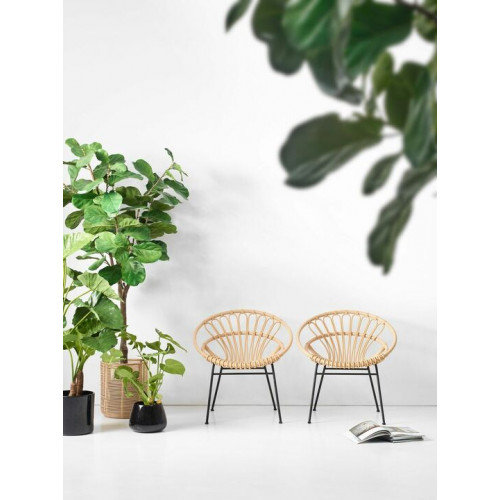 Roxanne Lazy Chair 